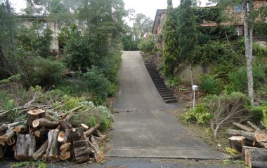 Land Clearing North Shore Sydney