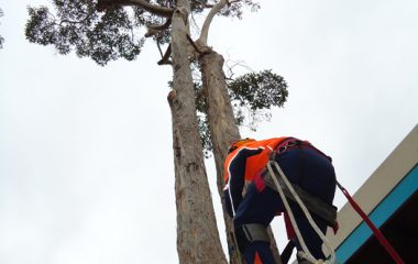 24hr Emergency Services North Shore Sydney