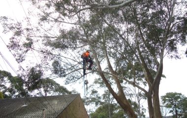 Emergency Services North Shore Sydney